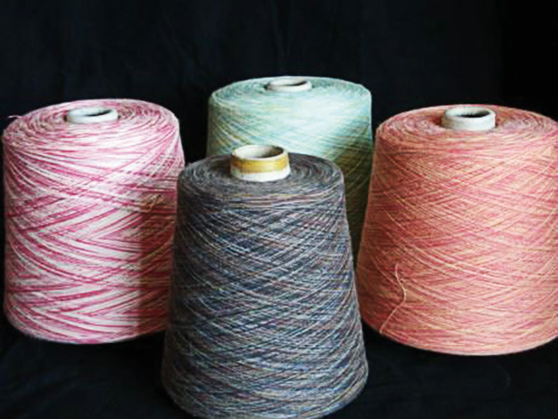 Weaving (Airjet's and Shuttleless) Gallery 3